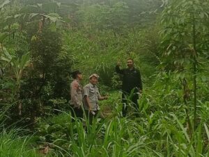 Polsek Sekar dan BPP Sekar Monitoring Langsung Lahan Pertanian untuk Dukung Ketahanan Pangan